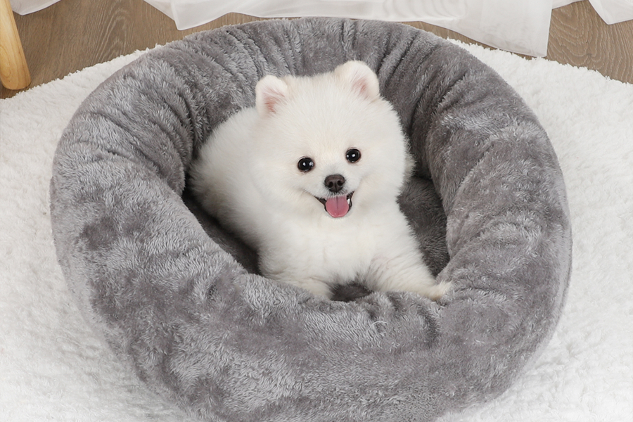 pet dryer box